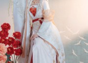 The Charm of Dolman Collar Cheongsam:A Mid-Length Elegance