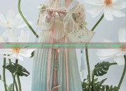 Embracing Traditional Hanfu with Non-Pierced Ear Clips for Women