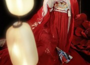 The Skirt with Horseface Pattern and its Six Pairs of Pleats:A Cultural Exploration