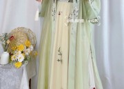 Blossom Chronicle:Original Hanfu Fashion Shop,Peach Bloom