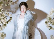 Golden Silk Velvet Cheongsam:A Summer Elegance
