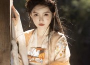The Fabric of Cheongsam:Understanding the Quality and Characteristics of Qipao Dress Materials