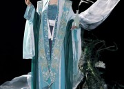 Exploring the Elegance of Cotton-Lined Tang Costumes in Womens Fashion