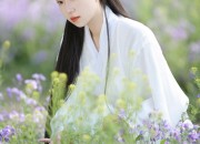 Improved Short-Style Hanfu Costumes:A Blend of Tradition and Modernity