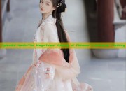 Splendid Hanfu:The Magnificent Beauty of Chinese Traditional Clothing