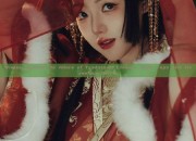 Winter Fashion:The Allure of Traditional Chinese Style Tops with Horseface Skirts
