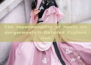 The Impermeability of Hanfu Undergarments:A Detailed Exploration