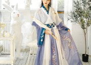 The Authentic Hanfu Style of the Nine-Tailed Fox:A Guide to Quality Waist-Length Versions