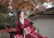 The Cultural Journey of Childrens Hanfu Fan:A Guide for Ages 1 to 6