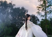 Festive Fashion with the Mandarin Horse-Face Skirt:A Guide to Traditional Chinese New Year Outfits