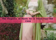 The Elegance of Hanfu for a Three-Year-Old Child