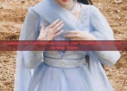 Evolution of Hanfu:Modernizing the Traditional with the Jin-Wei Style