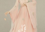 The Summer of Hanfu Fashion:A College Students Journey into Traditional Chinese Dress