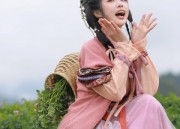 The Splendid Cheongsam of Hanfu:A Closer Look at the Broad-sleeved Upper Garment