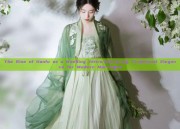 The Rise of Hanfu as a Wedding Attire:Embracing Traditional Elegance for Modern Marriages