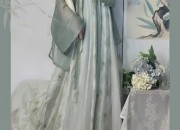 Winter in a Pink Hanfu:A Girls Journey into Traditional Elegance