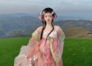 Ten-Mile Fragrance of Traditional Hanfu:Unveiling the Essence of Chinese Cultural Elegance