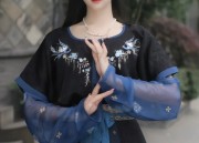 Embracing Authentic Hanfu:The Importance of Originality in Traditional Chinese Fashion