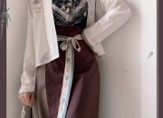 The Evolution of Aodai Cheongsam:A Cultural Journey Through Time