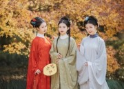 新中式国风改良旗袍盘扣衬衫女