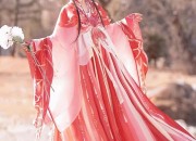 The Elegance of Hanfu Clothing:A Womans Half-Sleeve Blouse