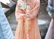 Elegant Womens Hanfu Blouse:A Journey into Traditional Chinese Beauty
