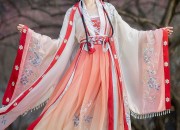 Lanting Sequence Original Hanfu Robes:Quality and Affordability