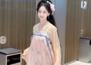 Elegant Summer Hanfu Womens Dress:The Art of Traditional Chinese Fashion