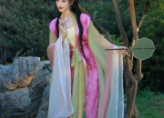The Splendor of Hanfu Tang-collar:A Guide to Hair Accessories