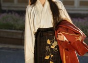 Winter Hanfu Hair Accessories:The Rise of Fake Hair for Traditional Headwear