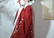 Ancient Splendor of Hanfu Fans:A Journey into the World of Immortal-like Elegance