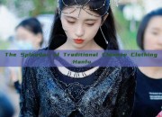 The Splendor of Traditional Chinese Clothing:Hanfu