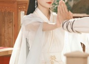 Winter Hanfu Costumes for Adult Women:The Splendor of Traditional Chinese Fashion