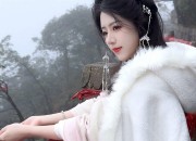 New Chinese Style:Light Traditional Vogue with Horseface Skirt Two-Piece Set