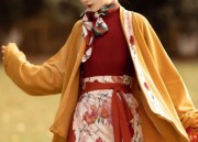 The Splendid Beauty of Hanfu Women:Noble Damsels in the Northern and Southern Dynasties