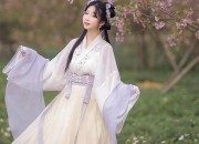 Neo-Chinese Fashion:Designing the New Traditional in Clothing