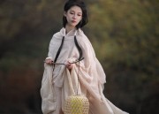 The Splendor of Tang-Style Hezi Skirt in Traditional Chinese Clothing:A Tale of the汉服女子