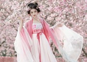 Summer in the Cheongsam:The Story of a Modern Mother-in-Law