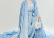 Luxury Cheongsam Accessories:The Art of the Yajin Hangings