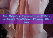 The Opening Ceremony of Childrens Hanfu Traditional Chinese Clothing