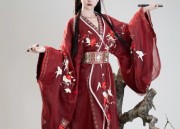 Revel in the Splendor of Tang Dynasty Hanfu:Womens Fashion during Chinese New Year