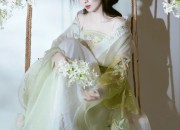 Cloud Crane Hanfu Shoes:A Journey into Traditional Elegance