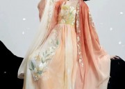 The Elegance of a Single Cheongsam Blouse:A Closer Look at its Charm
