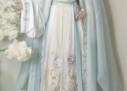 Embracing the New Sino-Modern Style:Placket-Buttoned Blouses and Horseface Skirts