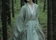 Traditional Chinese Style V-neck Blouse to Match the Horseface Skirt