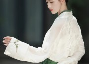 Embroidery in Winter:The Splendid Art of Hanfu Shoes in Detail