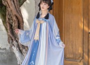 The Allure of Traditional Chinese Hanfu Clothing:A Focus on the Button-up Shirts