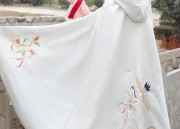 Summer Comfort in Micro-Curvy Hanfu Clothing with Organic Cotton Blouses