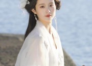 The Splendor of the Phoenix and Peacock in Traditional Hanfu Fashion