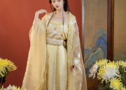 Hanfu Dance Maidens in the Wei,Jin,and Southern and Northern Dynasties